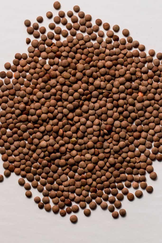 brown dried lentils on white background