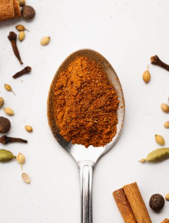 a spoon with homemade spice blend surrounded by spices